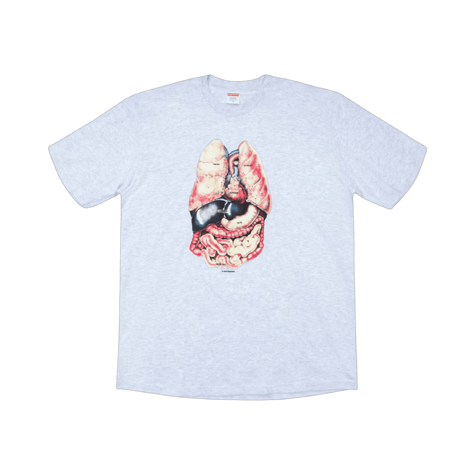 Supreme Guts Tee Ash Grey