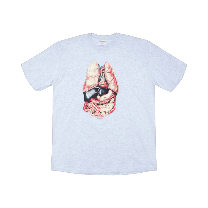 Supreme Guts Tee Ash Grey | Vitnage Clothing Store Canada