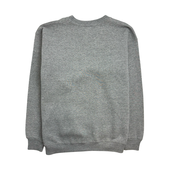 (M) Vintage 90s University Of Illinois Sweatshirt Grey | Vitnage Clothing Store Canada