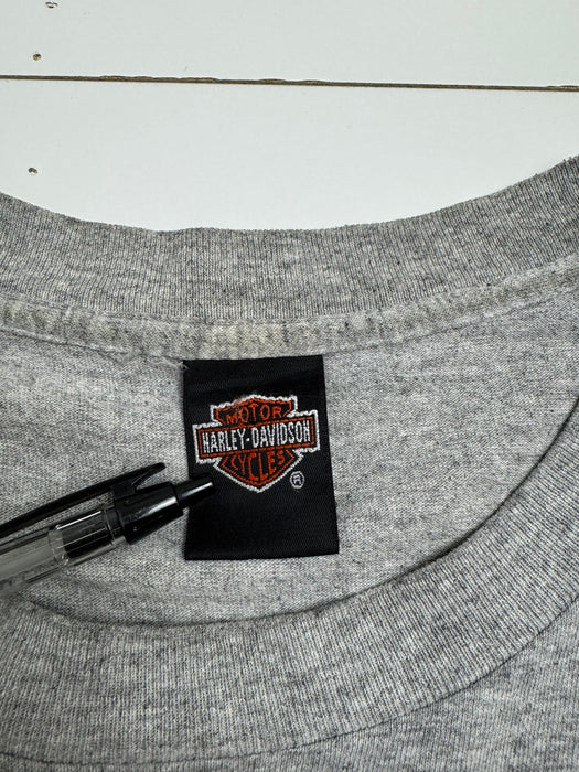 Vintage 90s Boswells Harley Davidson Tee Grey | Vitnage Clothing Store Canada