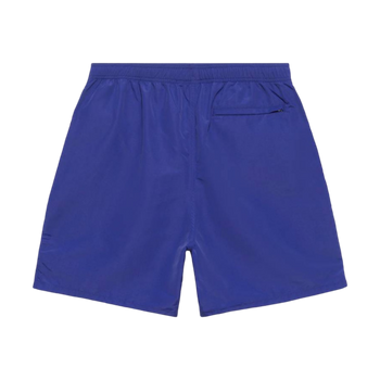 Stussy SS-Link Water Shorts Purple