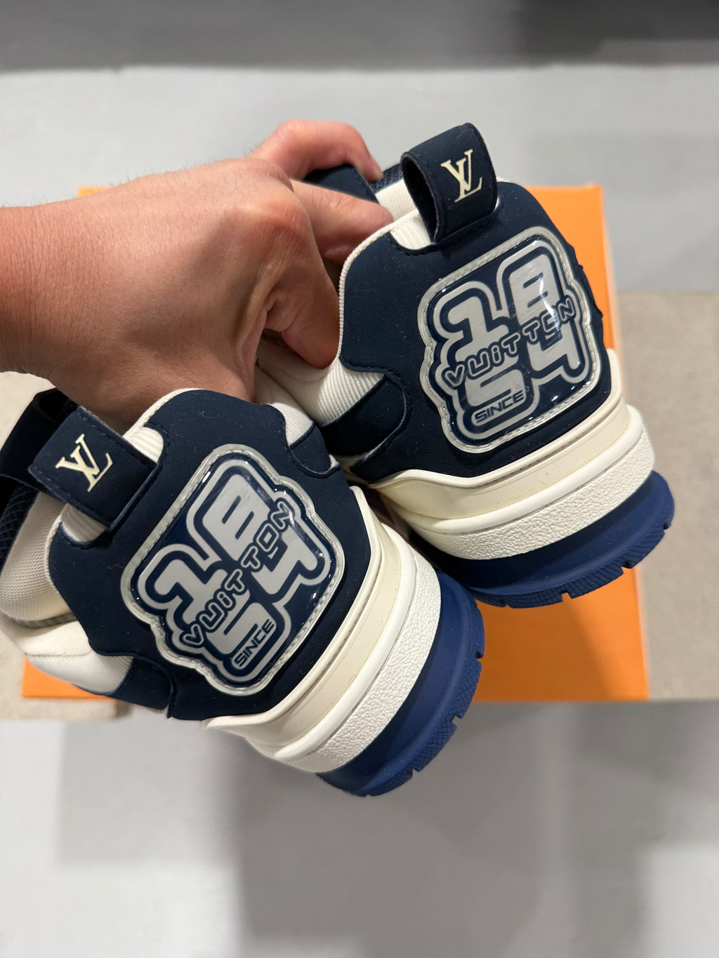 Louis Vuitton Skate Trainer Marine (USED)