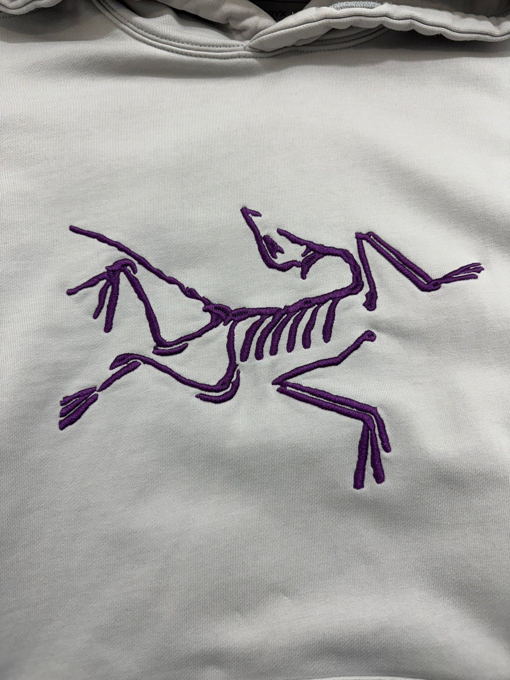 Palace x Arc'teryx Hoodie Grey (USED)