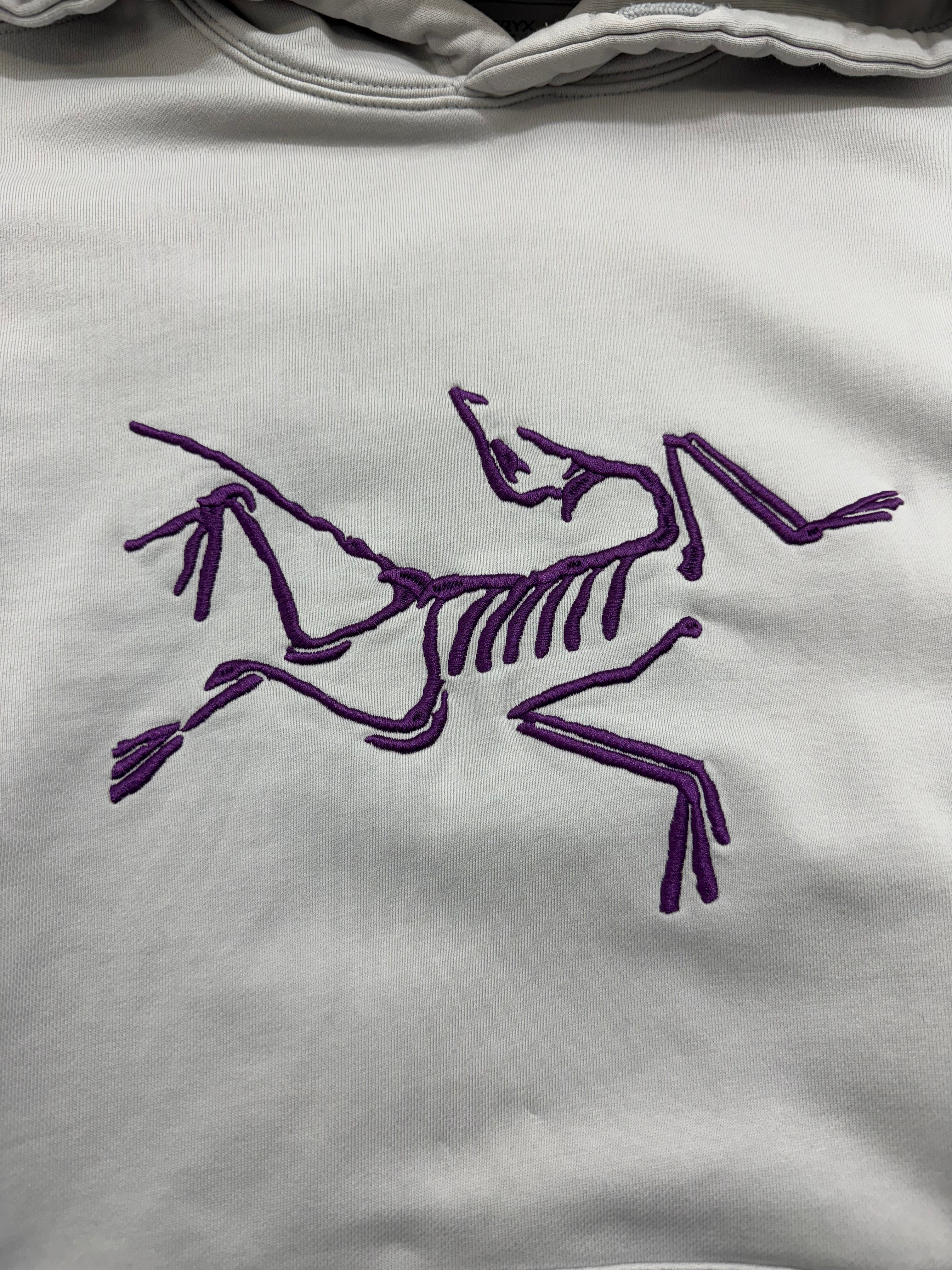 Palace x Arc'teryx Hoodie Grey (USED)