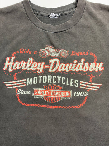 (M) Harley Davidson New Hampshire Tee Brown