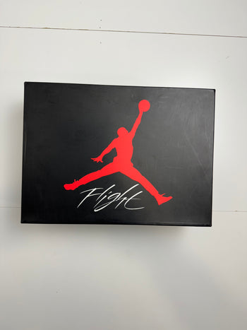 Air Jordan 4 Retro Bred 2019 (USED)