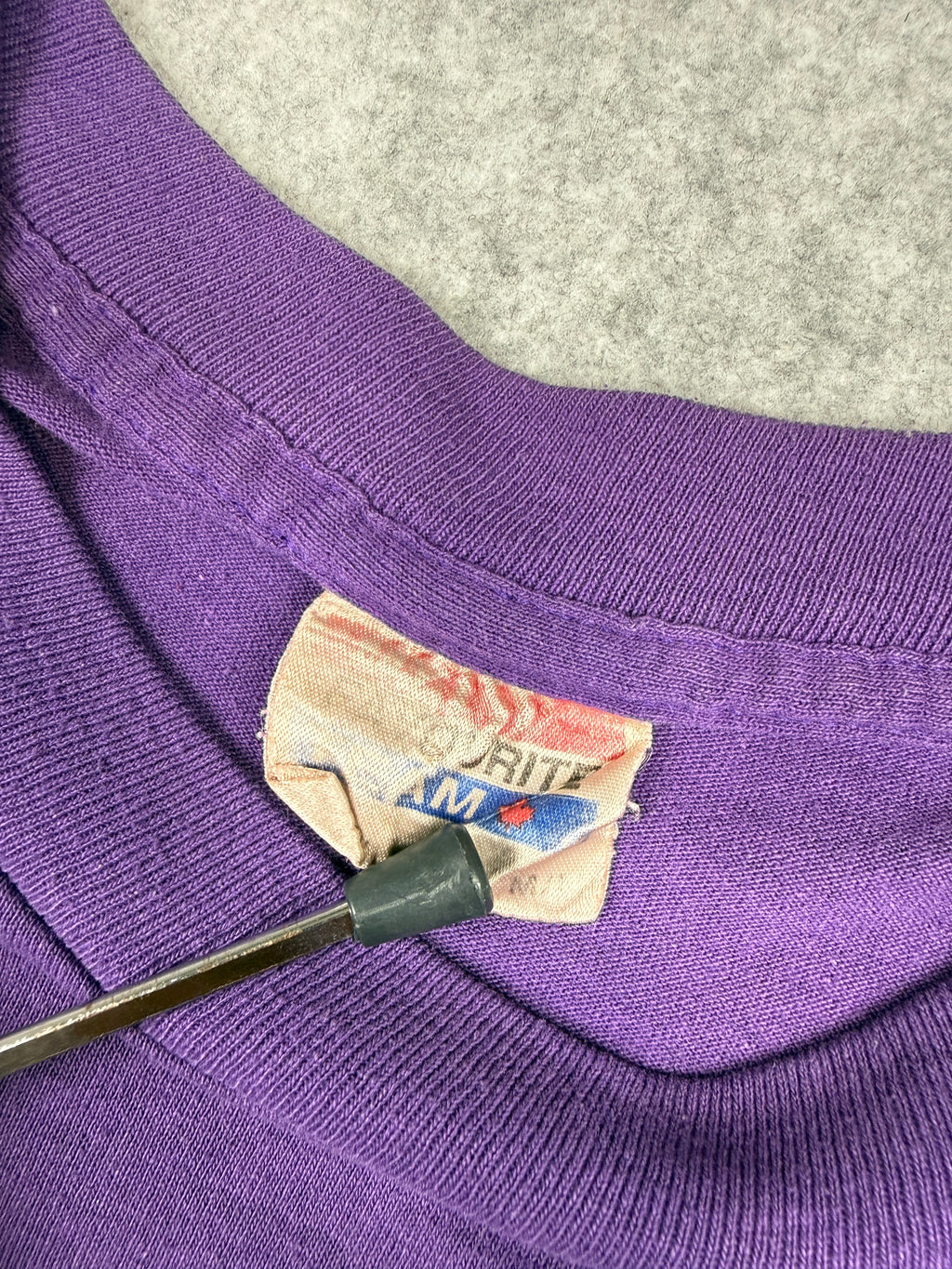 Vintage Toronto Raptors Logo Tee Purple
