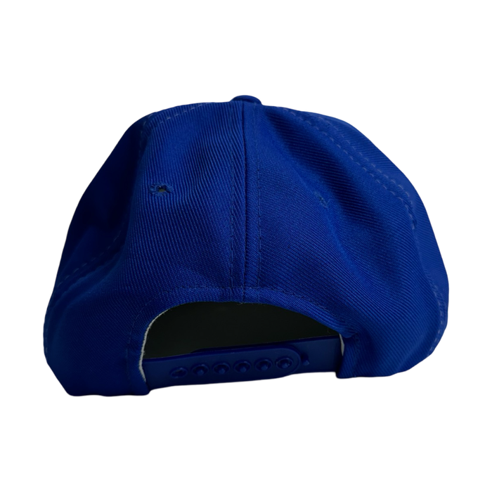 Vintage 10th Anniversary Blue Jays Hat | Vitnage Clothing Store Canada