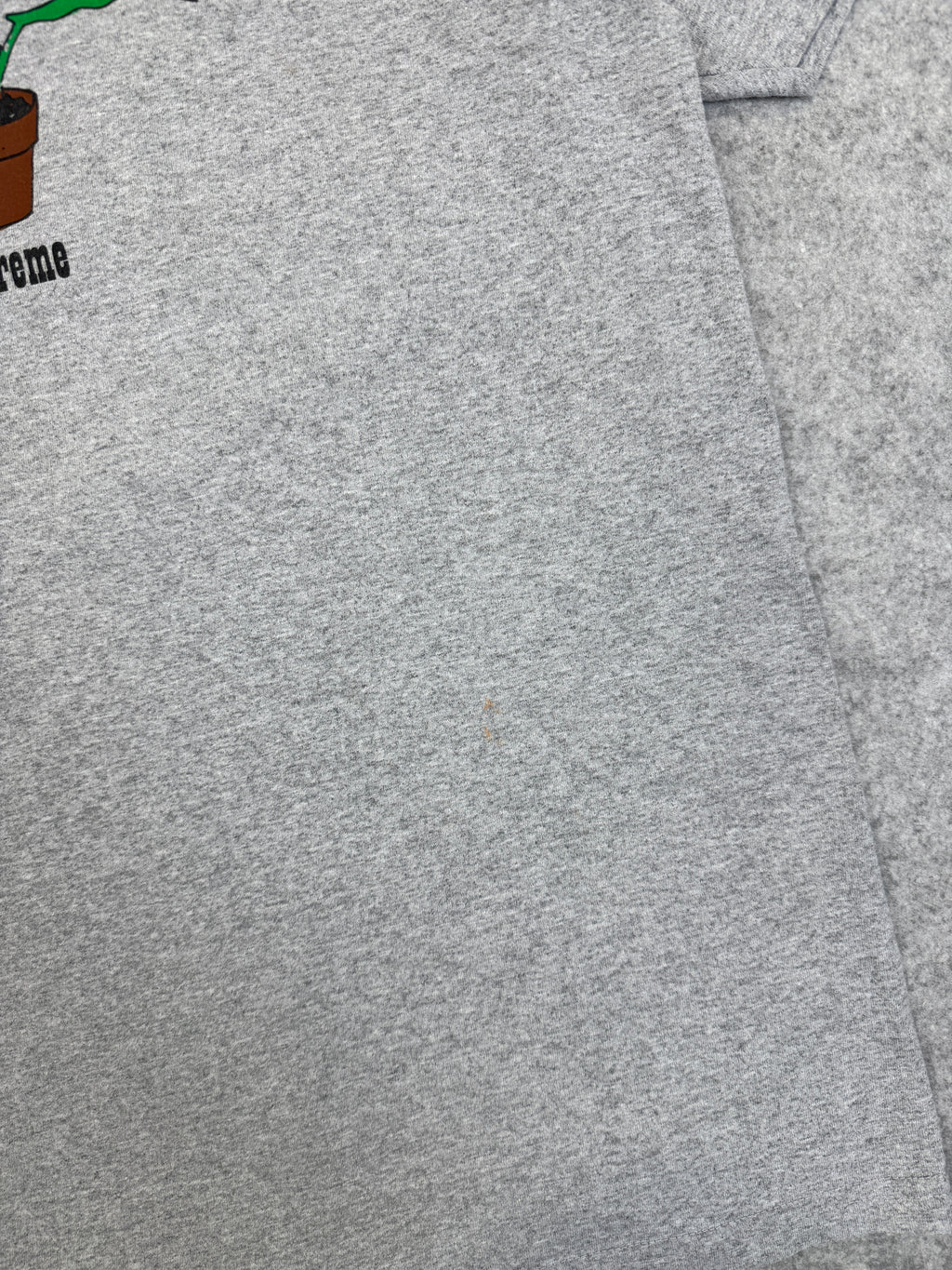 Supreme Plant Tee Heather Grey (USED)