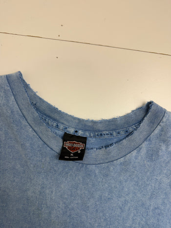Vintage 1996 Harley Davidson Lynchburg Virginia Cropped Tee Blue