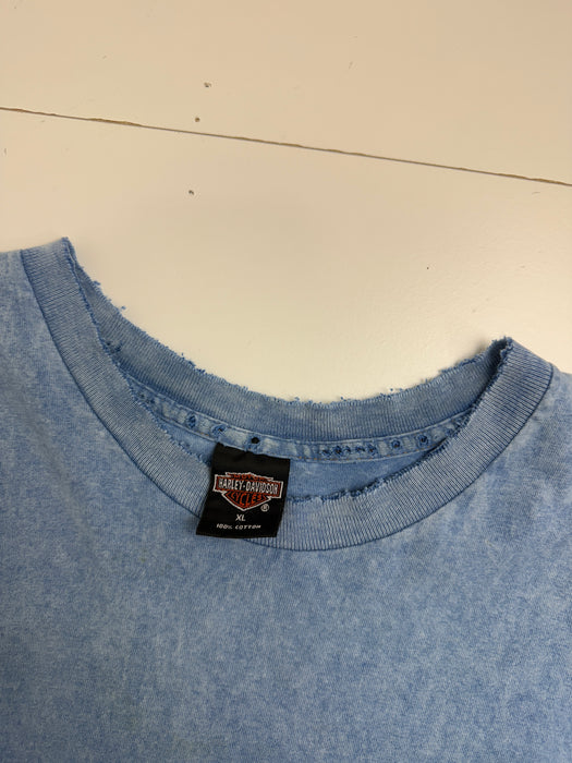 Vintage 1996 Harley Davidson Lynchburg Virginia Cropped Tee Blue | Vitnage Clothing Store Canada