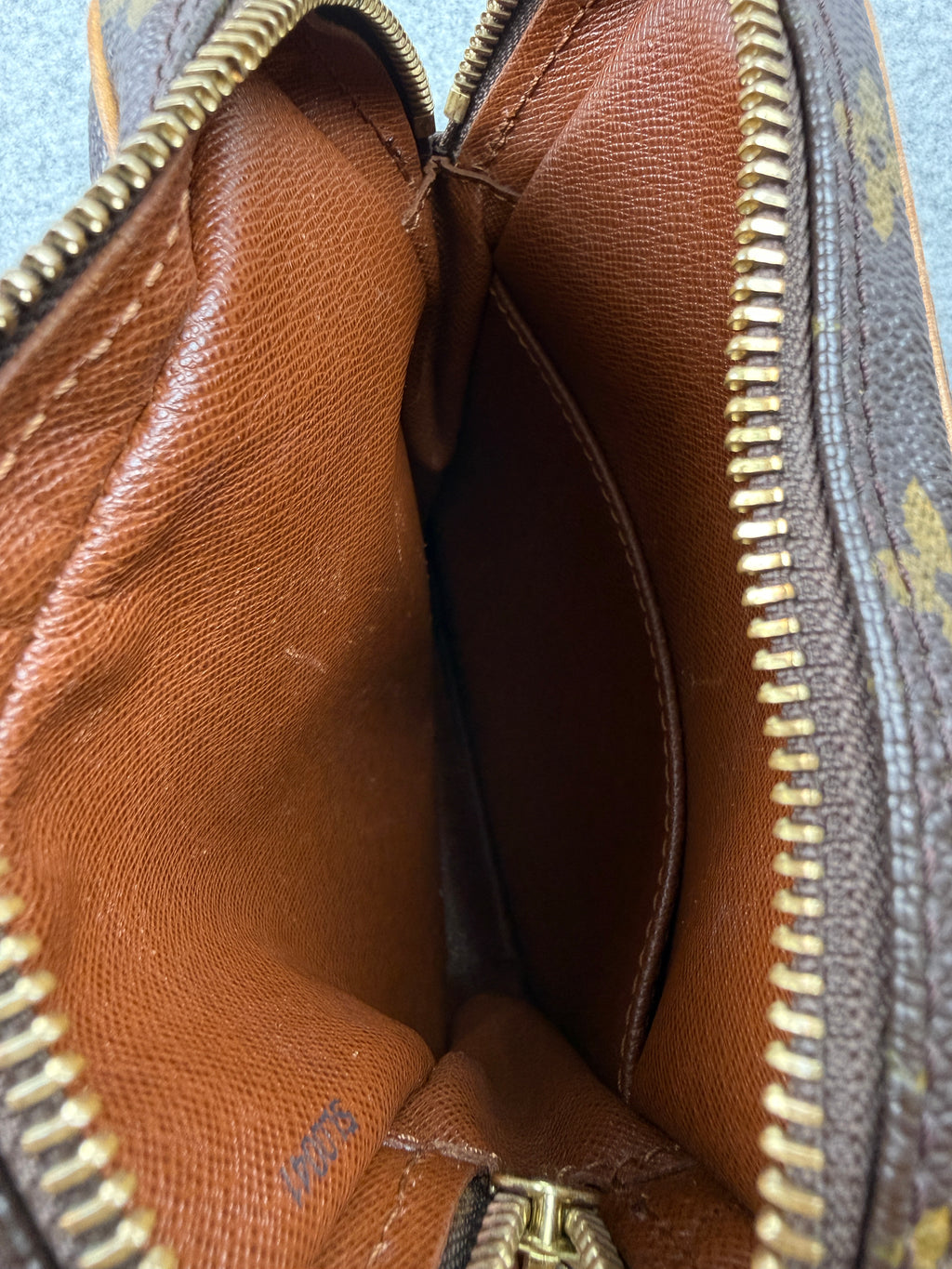 Louis Vuitton Danube Monogram Crossbody Bag