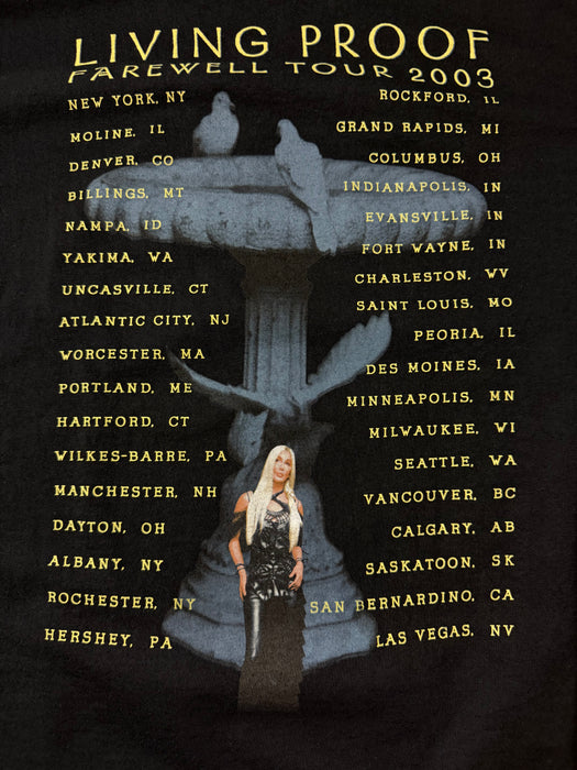 2003 Cher Living Proof Farewell Tour Tee Black | Vitnage Clothing Store Canada
