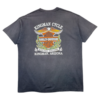 Vintage Harley Davidson Ain’t No Fairweather Biker Tee Black