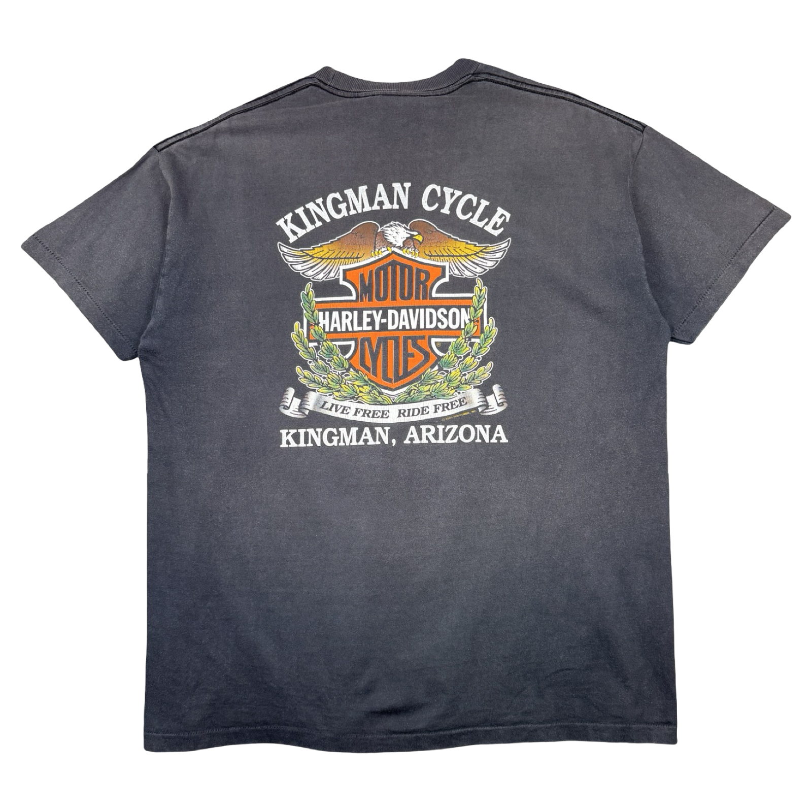 Vintage Harley Davidson Ain’t No Fairweather Biker Tee Black