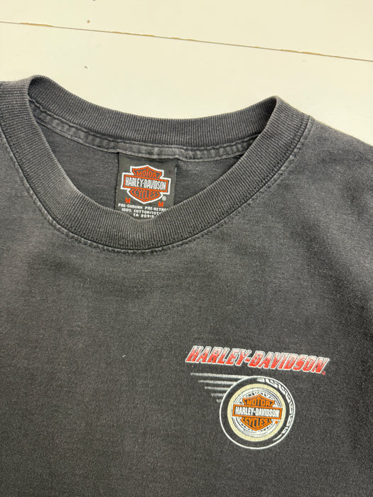 Vintage 2000s Harley Davidson Winnipeg Tee Black | Vitnage Clothing Store Canada