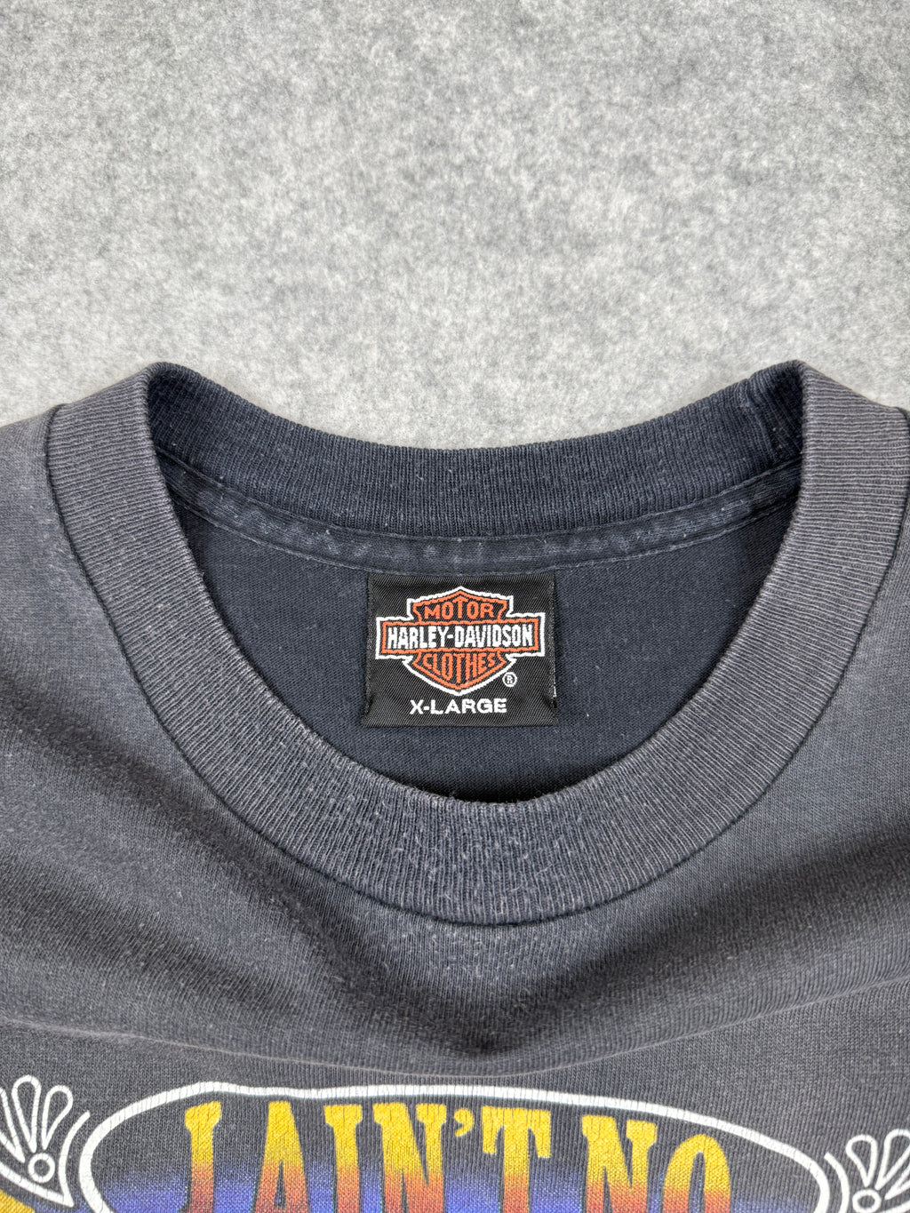Vintage Harley Davidson Ain’t No Fairweather Biker Tee Black