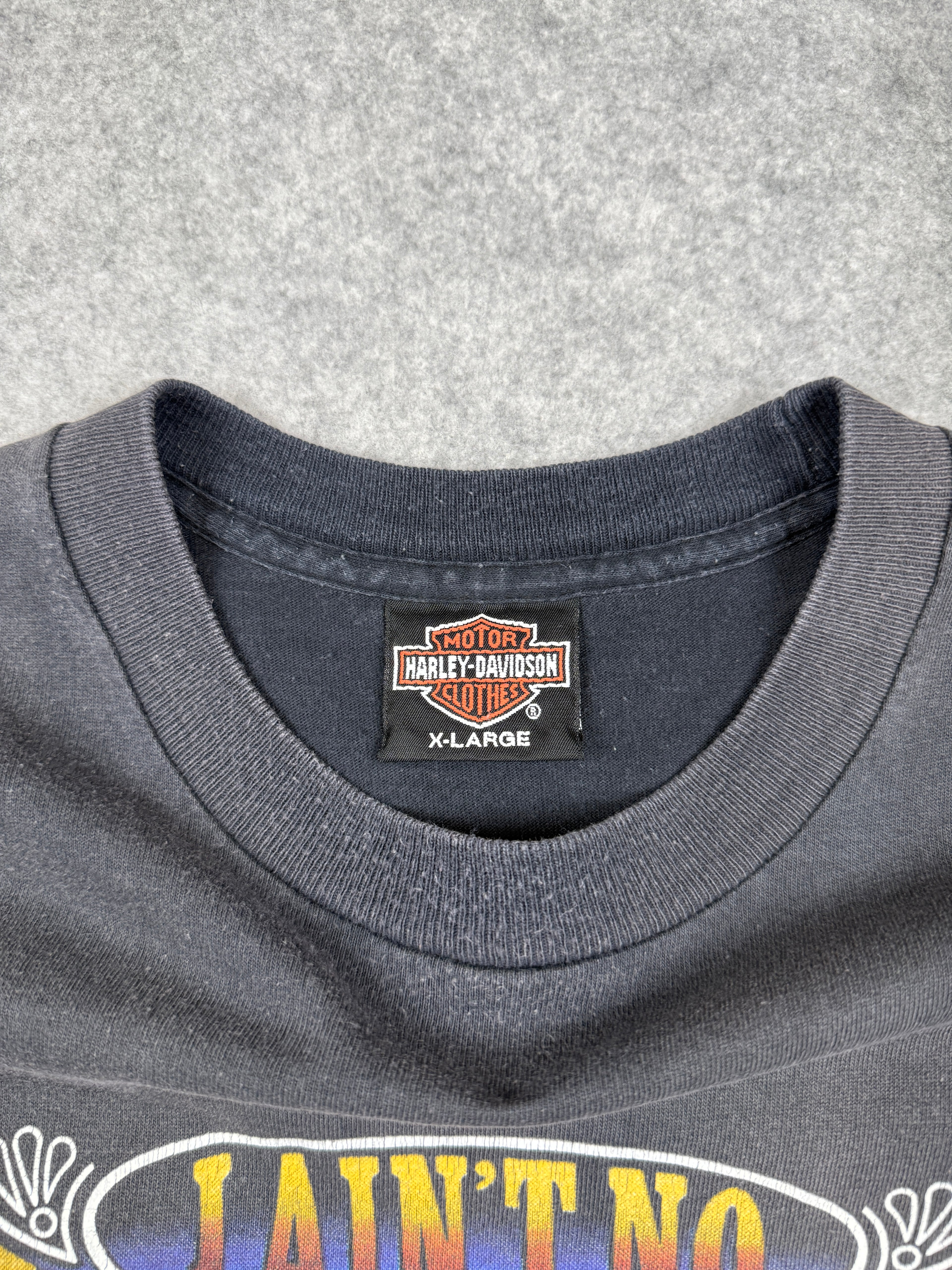Vintage Harley Davidson Ain’t No Fairweather Biker Tee Black