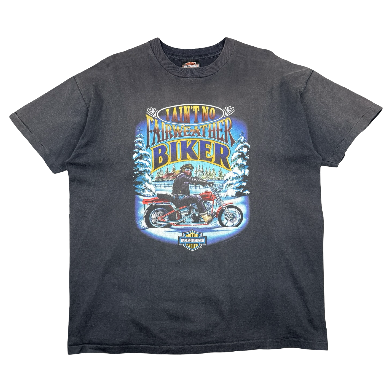 Vintage Harley Davidson Ain’t No Fairweather Biker Tee Black
