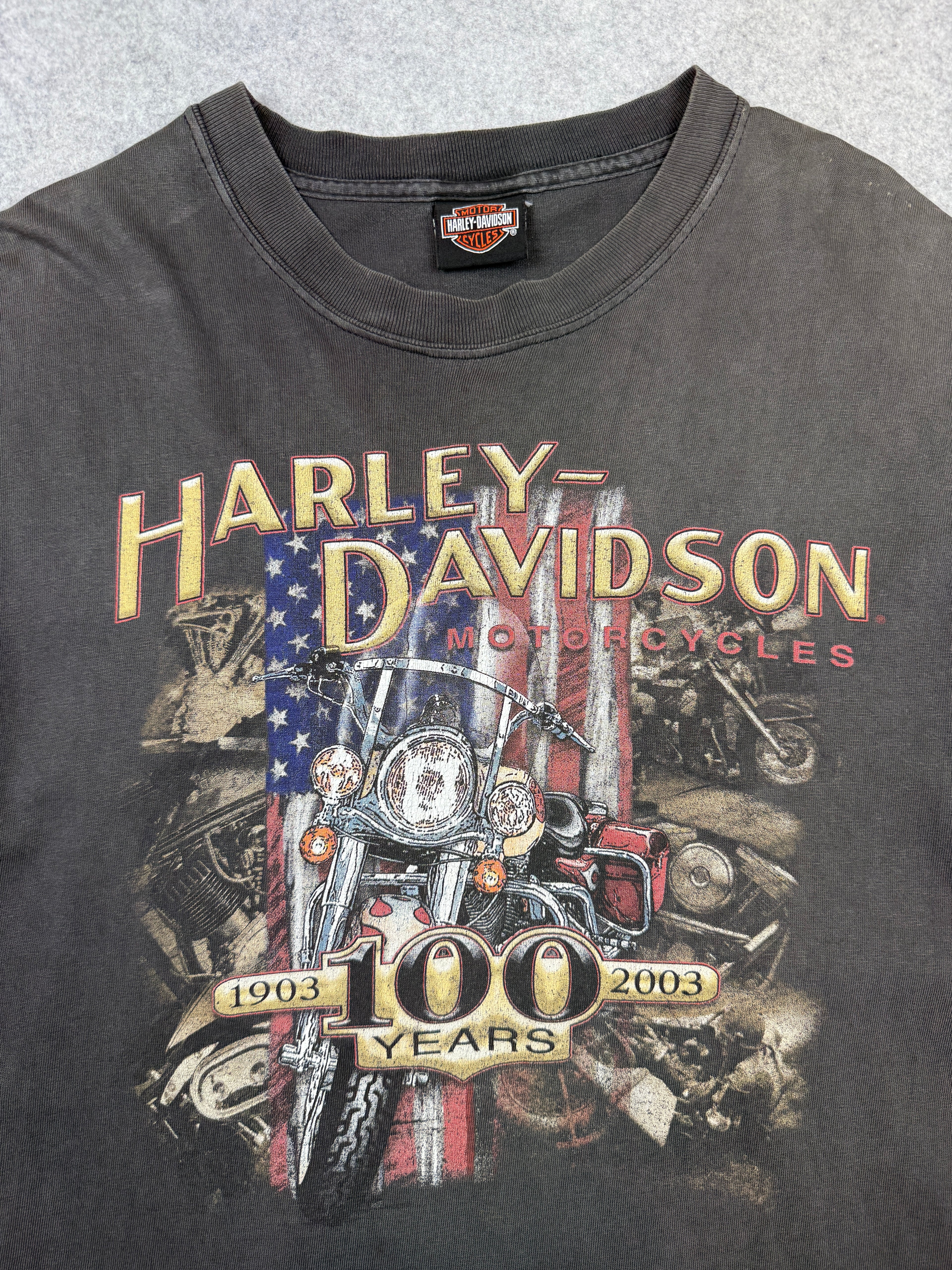Vintage Harley Davidson 100 Years Tee Black