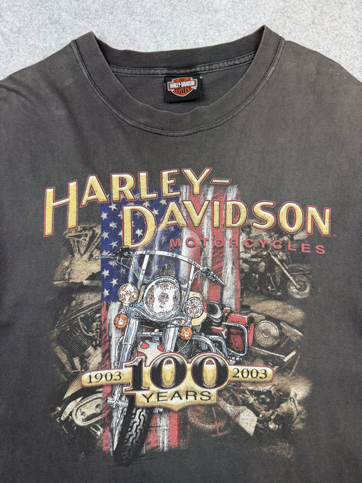 Vintage Harley Davidson 100 Years Tee Black | Vitnage Clothing Store Canada