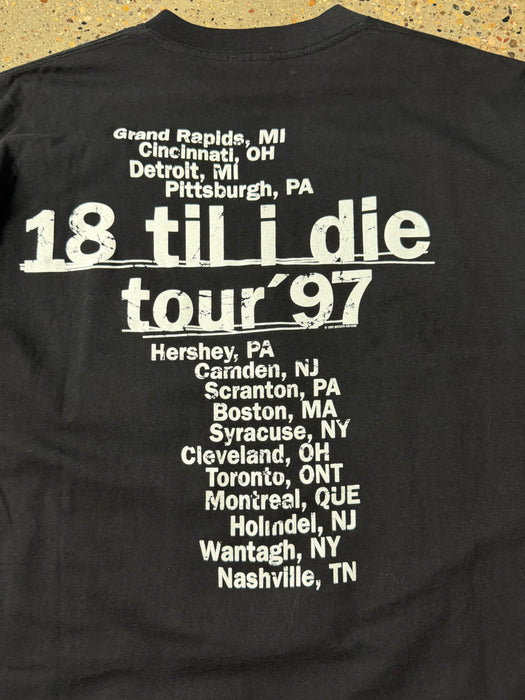 1997 Bryan Adams 18 Til I Die Tour Tee | Vitnage Clothing Store Canada