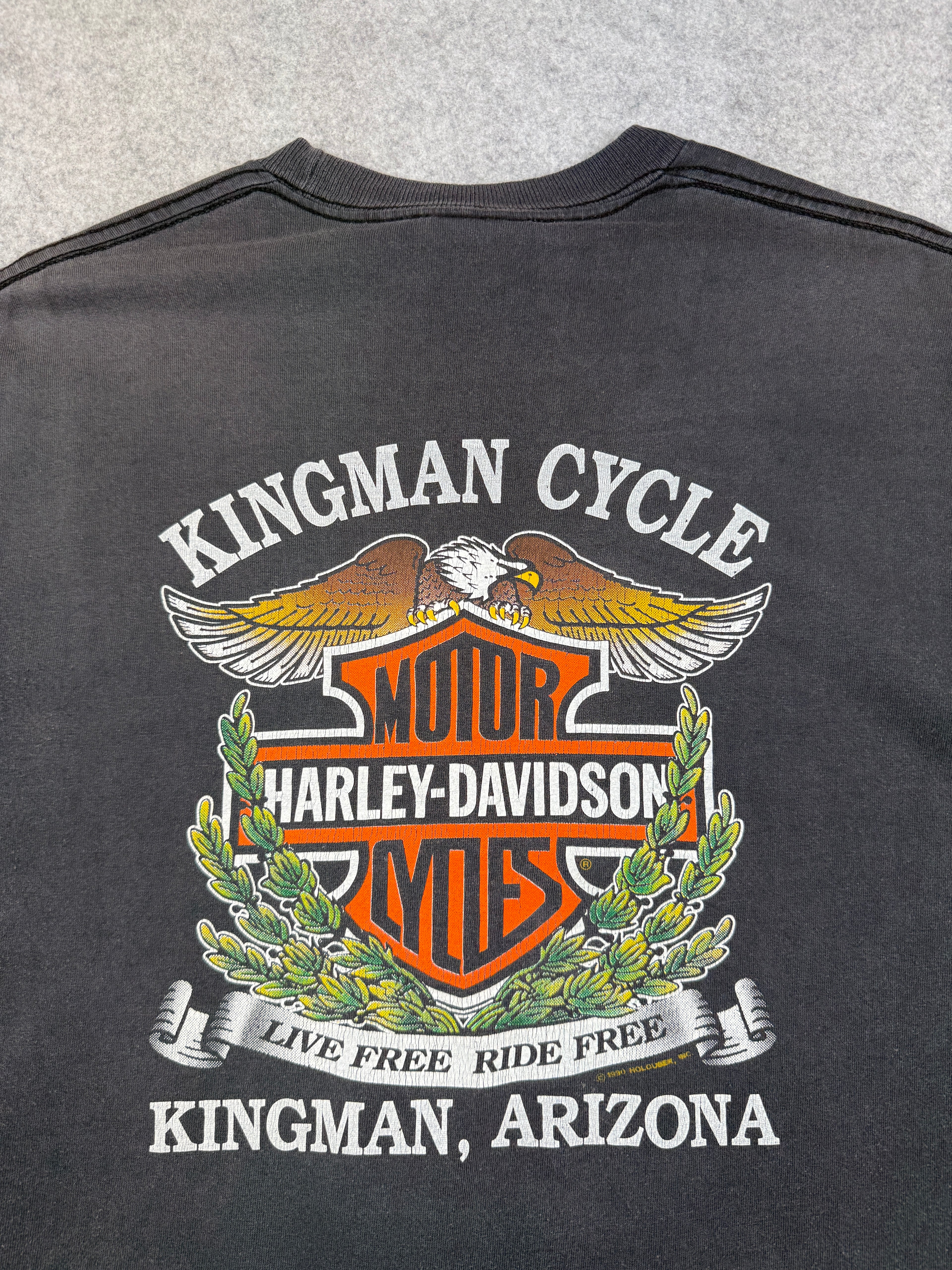 Vintage Harley Davidson Ain’t No Fairweather Biker Tee Black