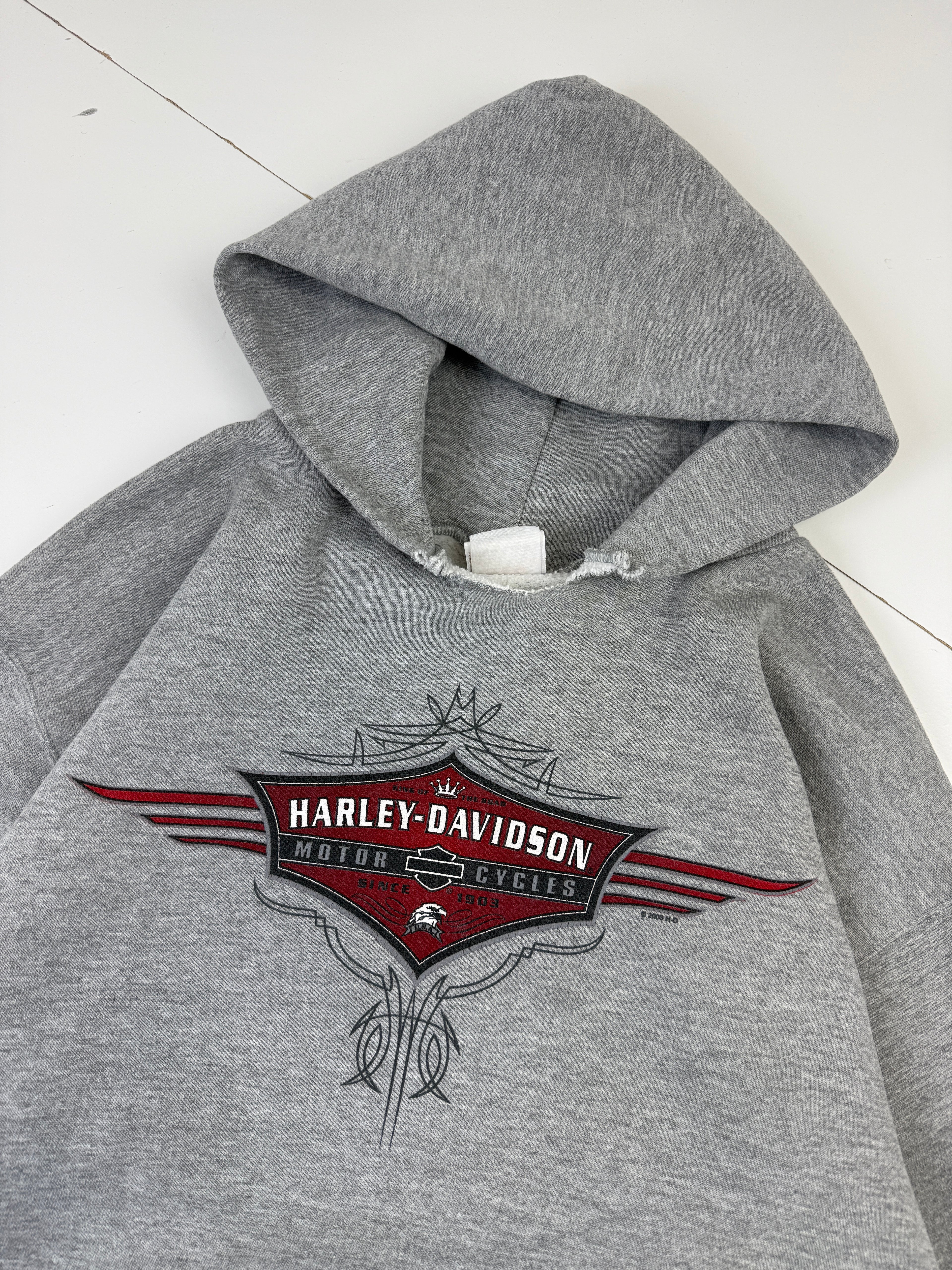 Vintage Harley Davidson Walters Bros Hoodie Grey