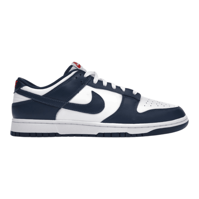 Nike Dunk Low Valerian Blue