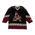 Vintage Arizona/Phoenix Starter Hockey Jersey