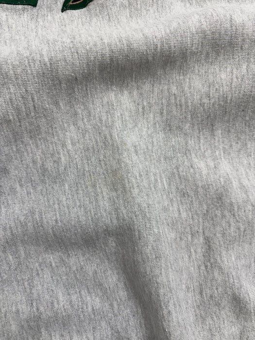 Vintage 90s Champion Reverse Weave Phi Delta Theta Sweatshirt Grey | Vitnage Clothing Store Canada