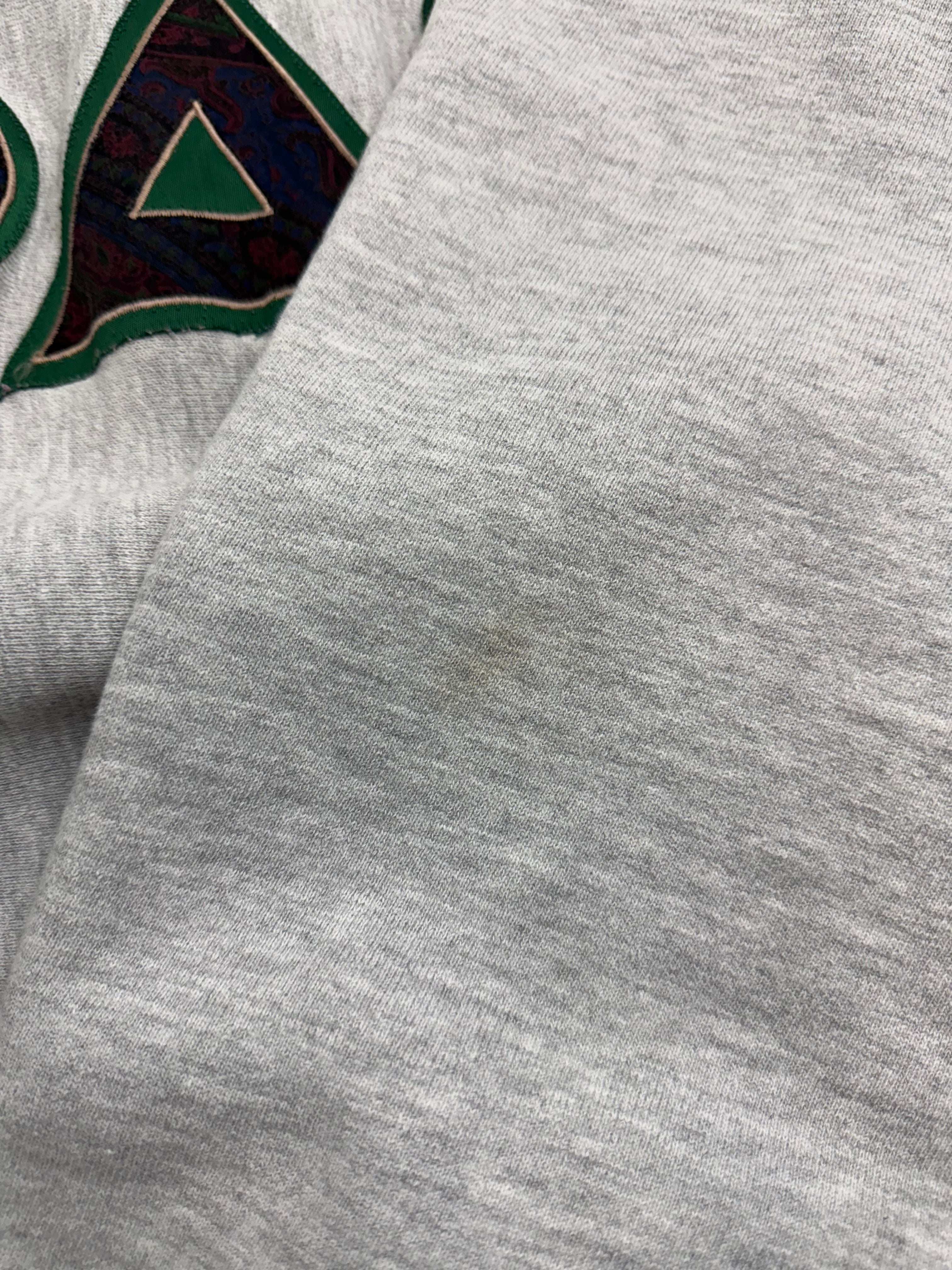 Vintage 90s Champion Reverse Weave Phi Delta Theta Sweatshirt Grey